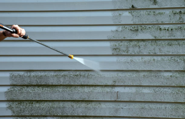 Best Building Exterior Washing  in Denison, IA